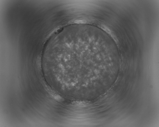 X0000074260297200609222158