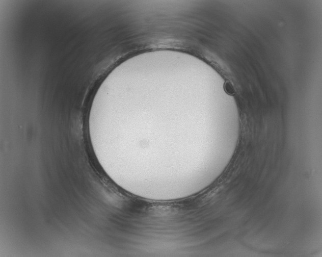 X0000074260298200609222158