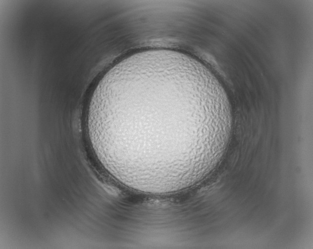 X0000074260299200609222158