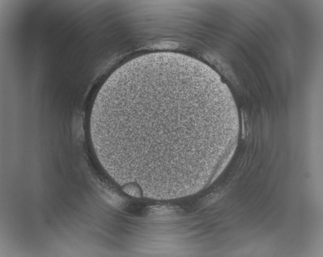 X0000074260300200609222158