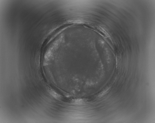 X0000074260301200609222158