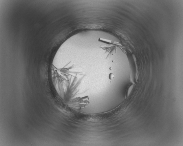 X0000074260303200609222158