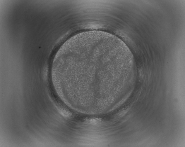 X0000074260304200609222158