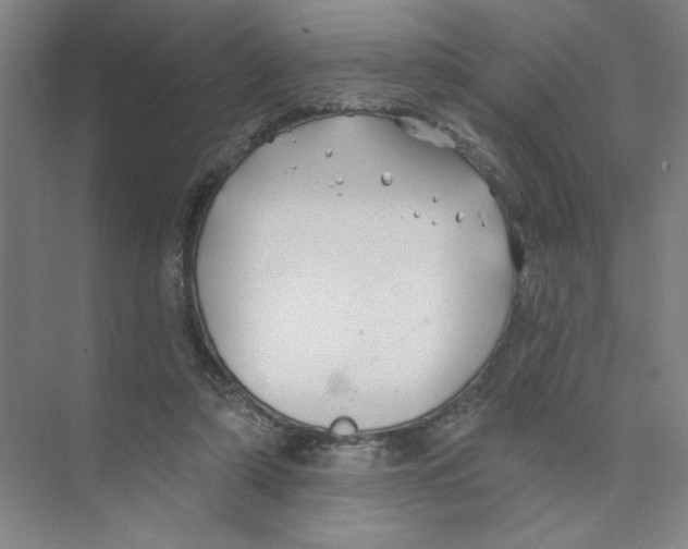 X0000074260306200609222158