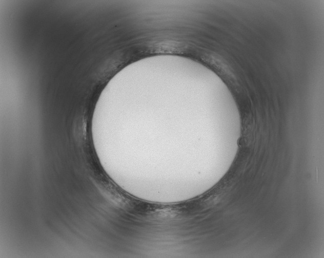 X0000074260310200609222158