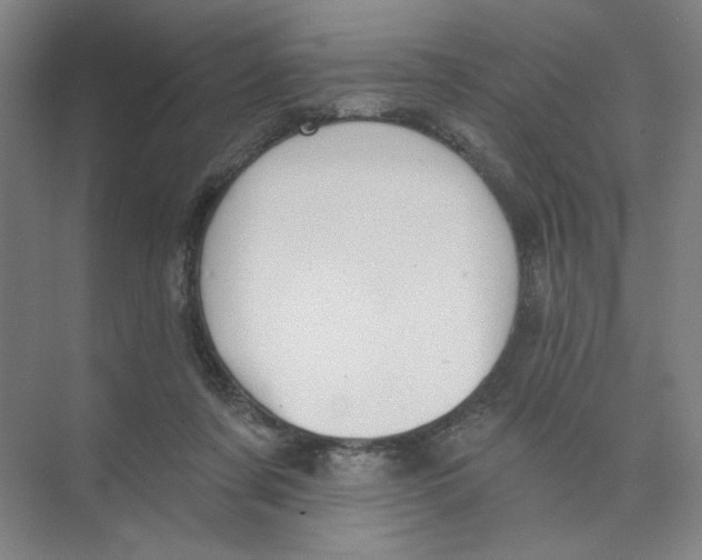 X0000074260311200609222158