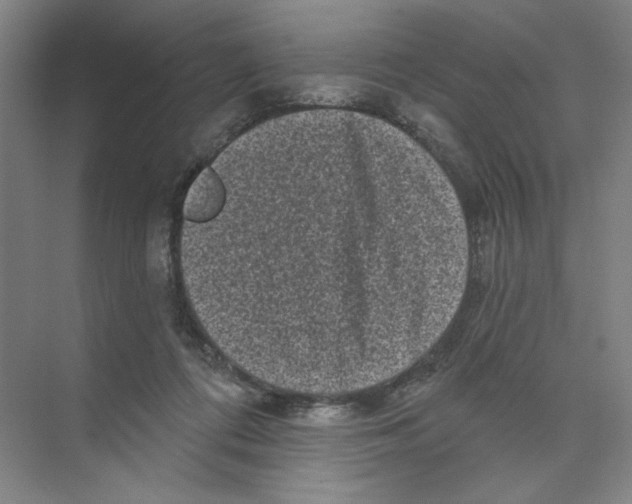 X0000074260312200609222158