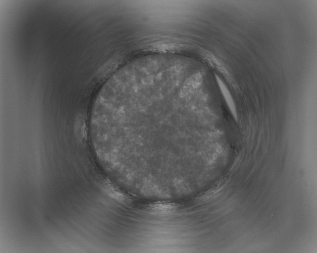 X0000074260313200609222158