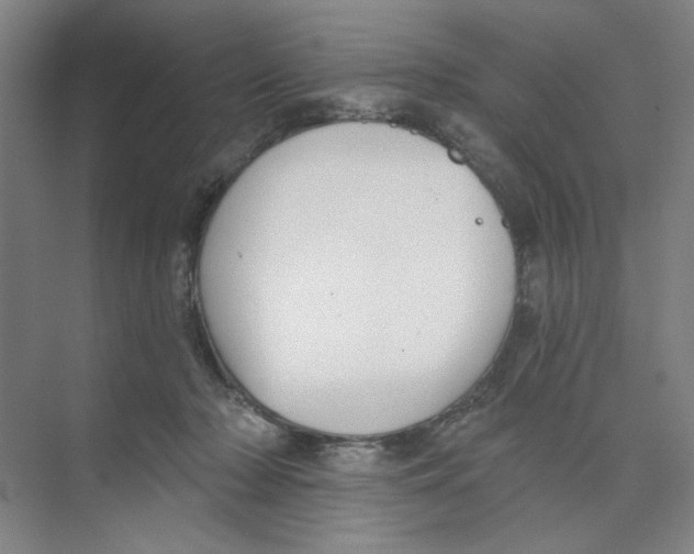 X0000074260318200609222157