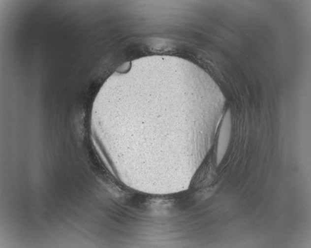 X0000074260319200609222157