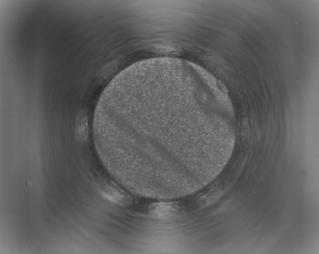 X0000074260320200609222157