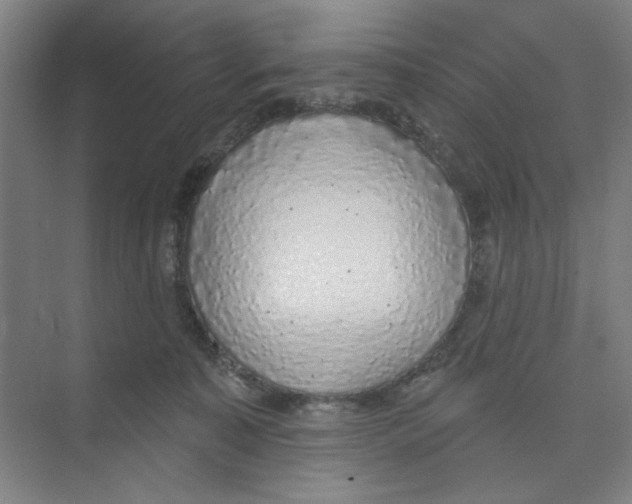 X0000074260323200609222157