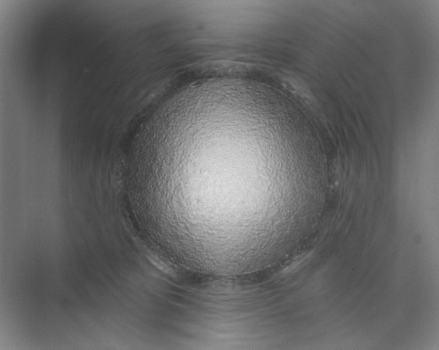 X0000074260325200609222157