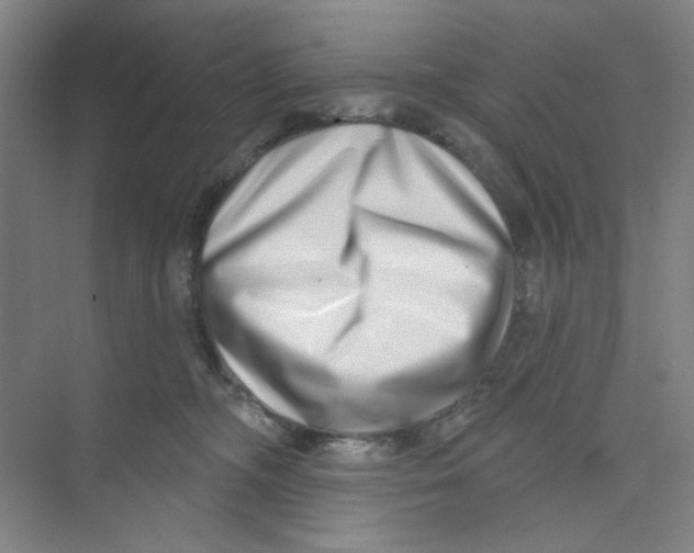 X0000074260326200609222157