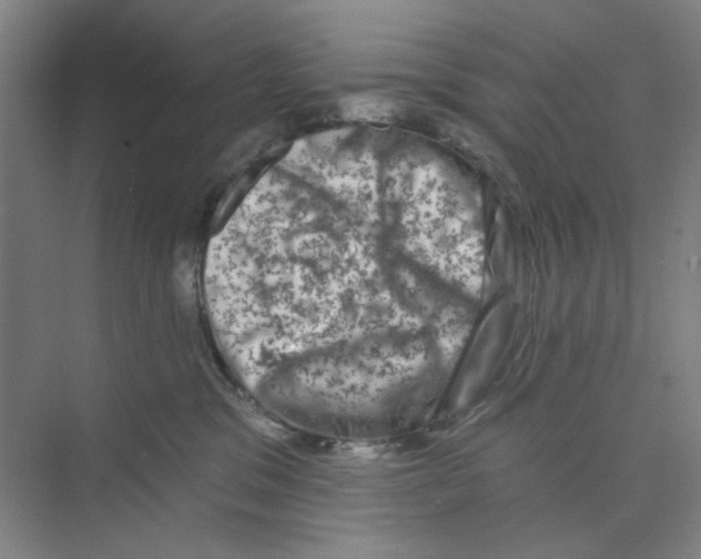 X0000074260329200609222157