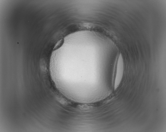 X0000074260331200609222157