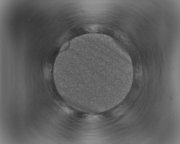 X0000074260332200609222157