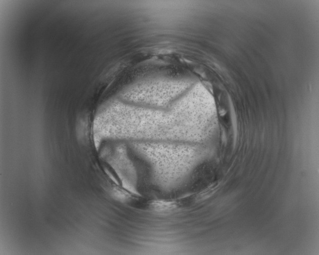 X0000074260333200609222157