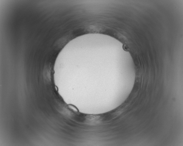 X0000074260334200609222157