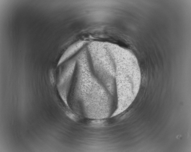 X0000074260335200609222157