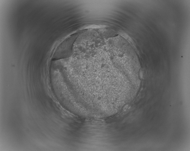 X0000074260337200609222156