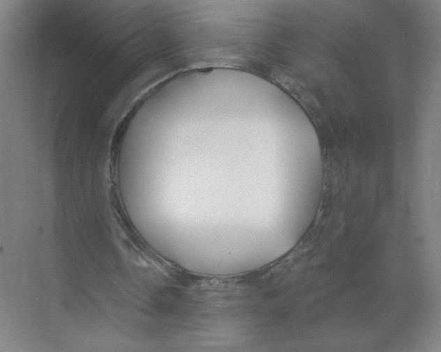 X0000074260338200609222156