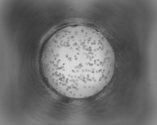 X0000074260341200609222156