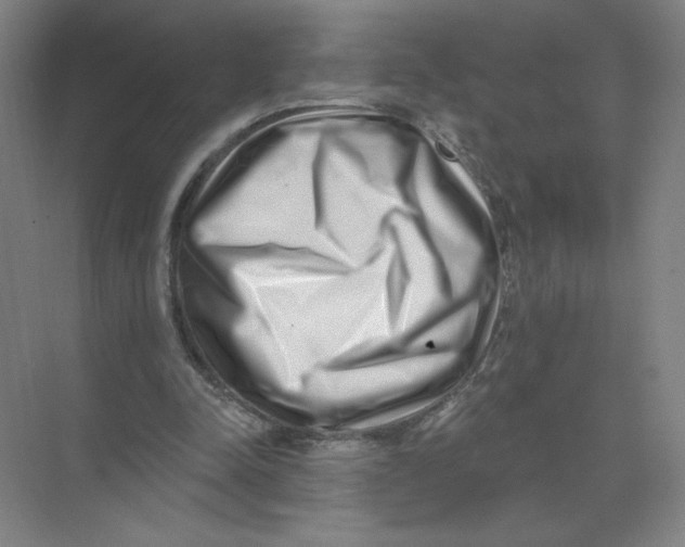 X0000074260342200609222156