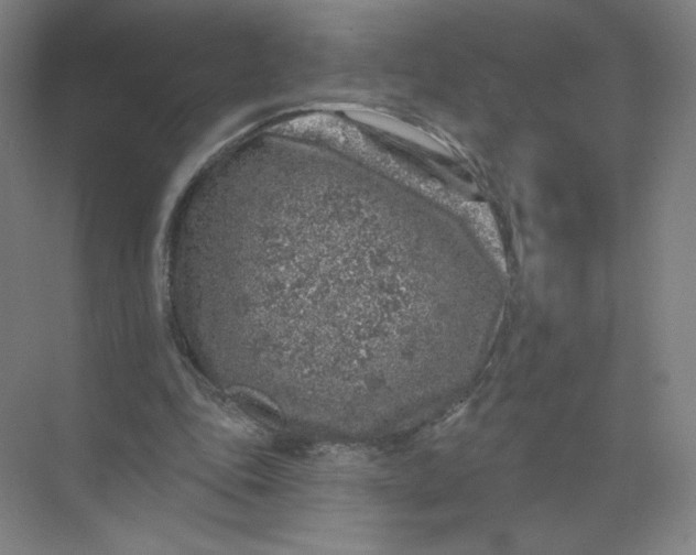 X0000074260343200609222156