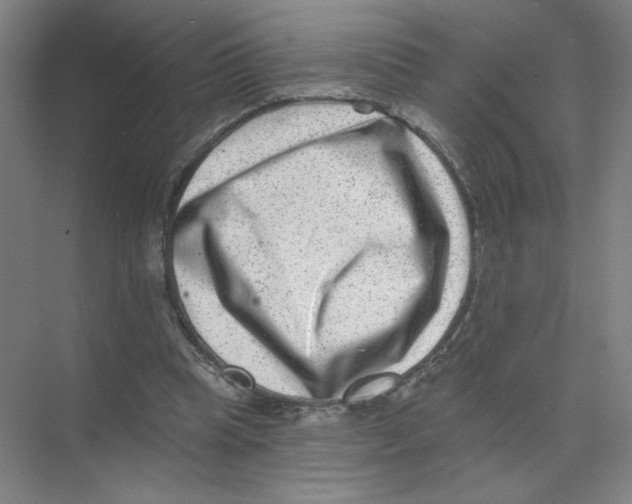 X0000074260345200609222156