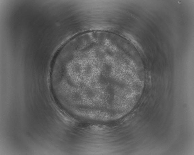 X0000074260346200609222156