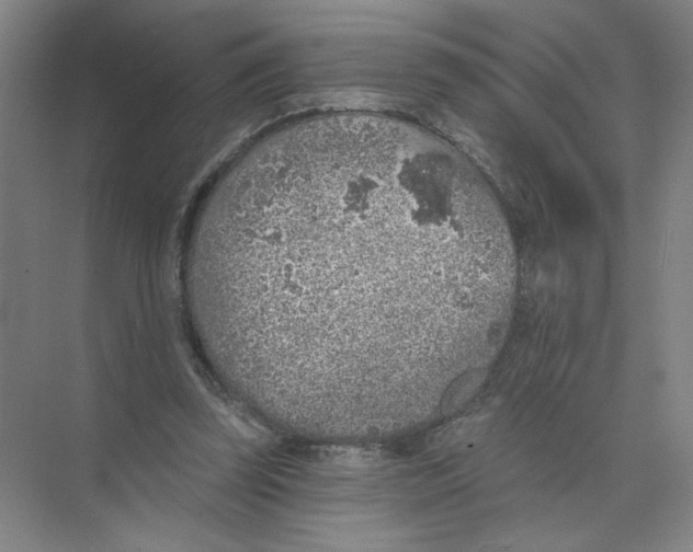 X0000074260347200609222156