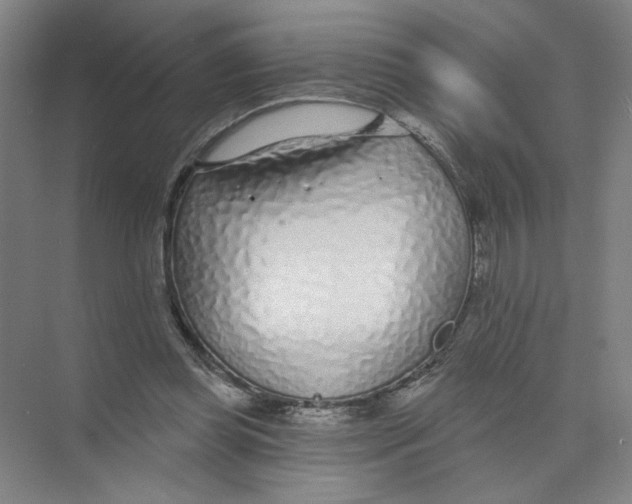 X0000074260349200609222157