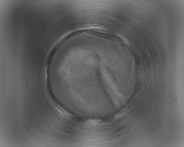 X0000074260350200609222157