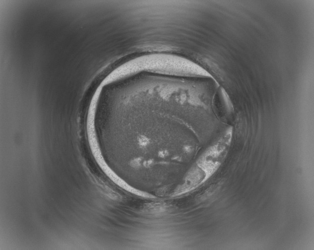 X0000074260351200609222157