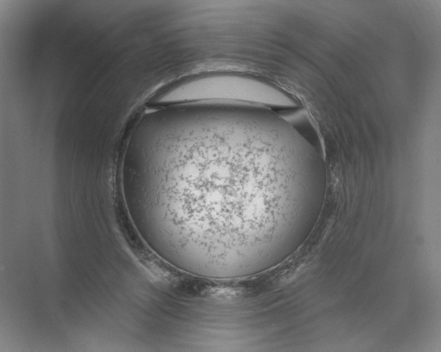 X0000074260352200609222157