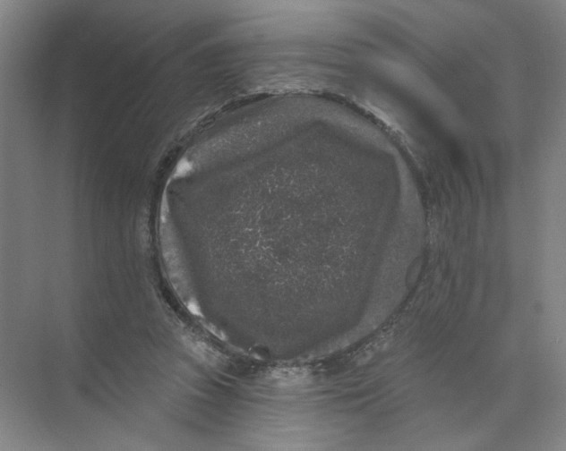 X0000074260353200609222157