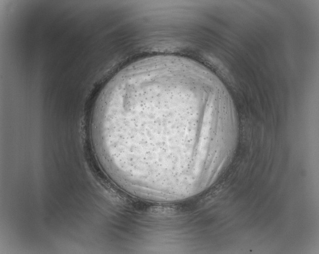 X0000074260354200609222157