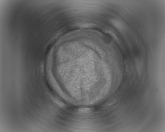 X0000074260357200609222157