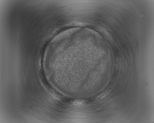 X0000074260358200609222157