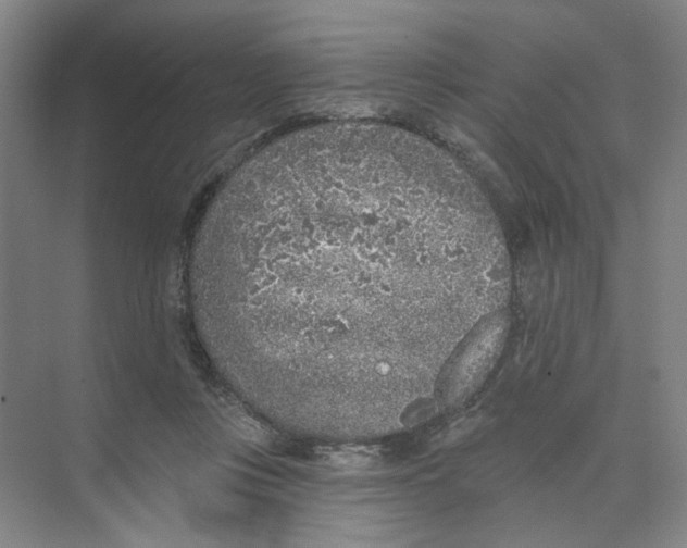 X0000074260359200609222157