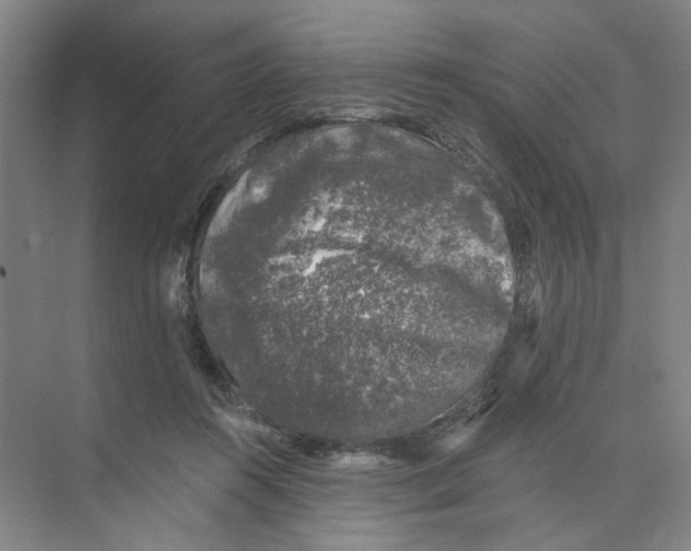 X0000074260360200609222157