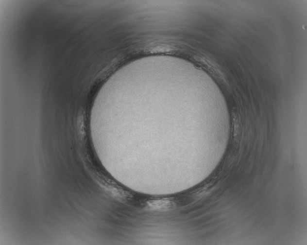 X0000074260362200609222157