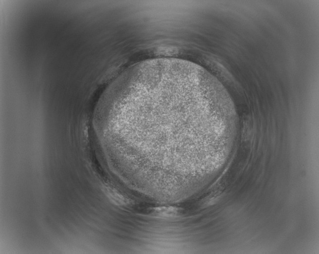 X0000074260363200609222157