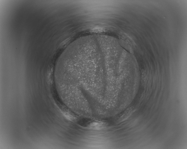 X0000074260364200609222157