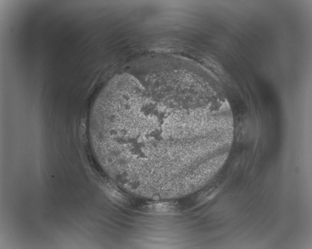 X0000074260365200609222157