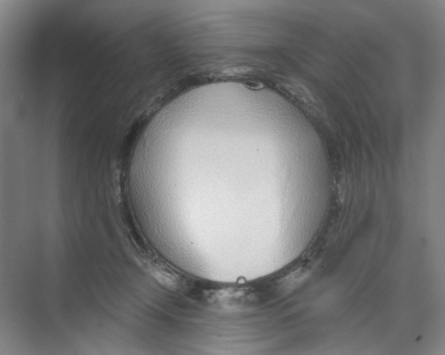 X0000074260366200609222157