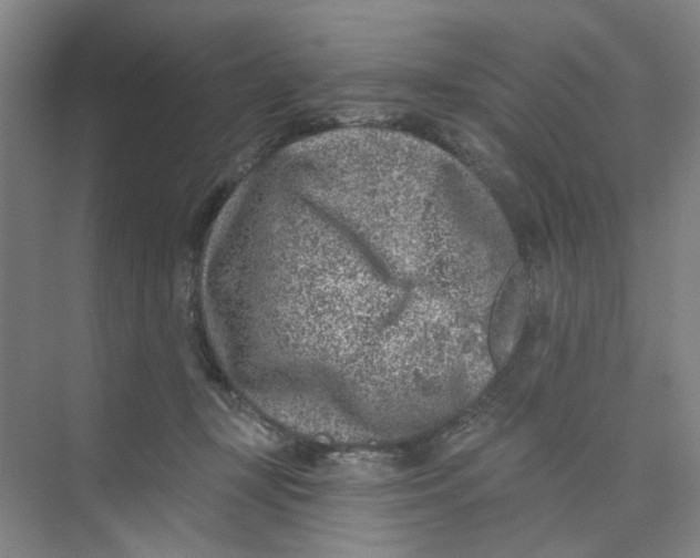 X0000074260367200609222157