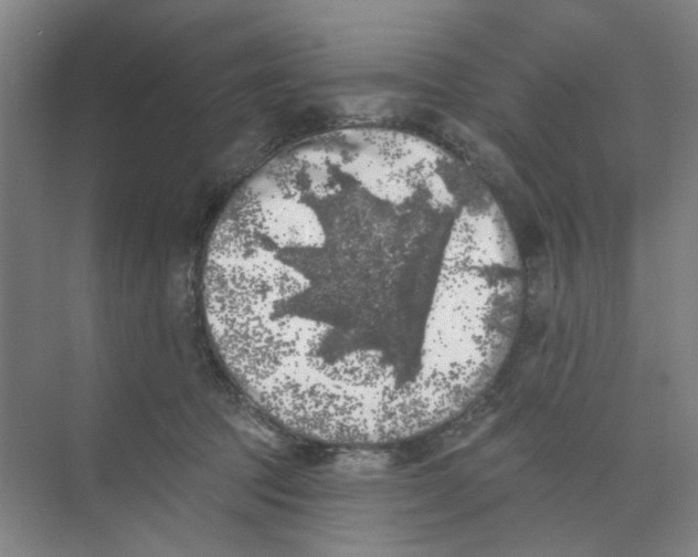 X0000074260369200609222157