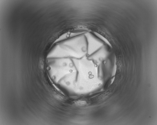 X0000074260374200609222157